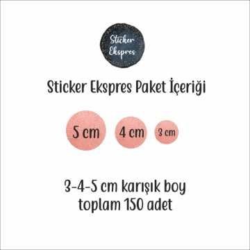 150 Adet Rose Gold Efektli Puantiye Sticker Seti