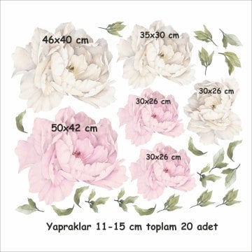 Şakayık Çiçek Set 12