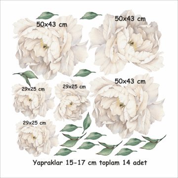 Şakayık Çiçek Set 6