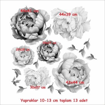 Şakayık Çiçek Set 9