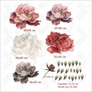 Şakayık Çiçek Set 11