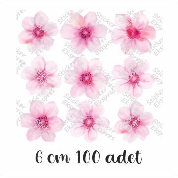 Açık Pembe Suluboya Papatyalar
