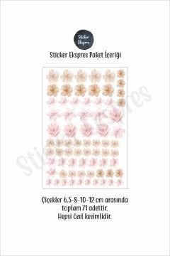 Soft Pembe Soft Kahverengi Tonlarda Çiçekler Dekoratif Çiçek Duvar Sticker Seti
