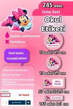 Okul Etiketi Minnie Mouse Kalem Defter Etiketi Özel İsim Yazılabilen Etiket 245 Adet