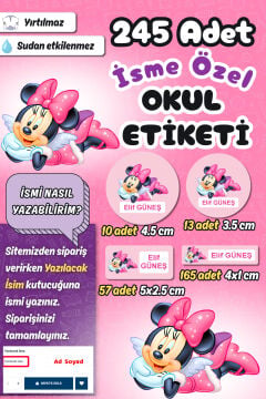 Okul Etiketi Minnie Mouse Kalem Defter Etiketi Özel İsim Yazılabilen Etiket 245 Adet