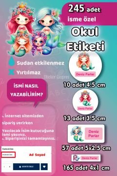 Okul Etiketi Sevimli Deniz Kızları Kalem Defter Etiketi Özel İsim Yazılabilen Etiket 245 Adet