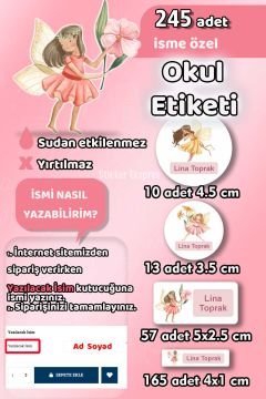 Okul Etiketi Peri Kızları Temalı Kalem Defter Etiketi Özel İsim Yazılabilen Etiket 245 Adet