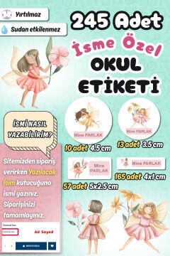 Okul Etiketi Peri Kızları Temalı Kalem Defter Etiketi Özel İsim Yazılabilen Etiket 245 Adet