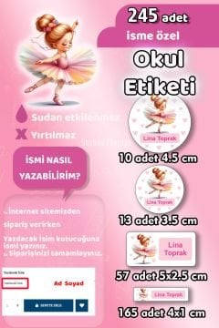 Okul Etiketi Balerin Kalem Defter Etiketi Özel İsim Yazılabilen Etiket 245 Adet