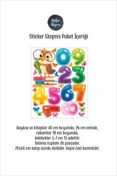 Bilge Baykuş Ve Rakamlar Rakam Anaokulu Kreş Okul Çocuk Odası Duvar Kapı Cam Sticker Seti