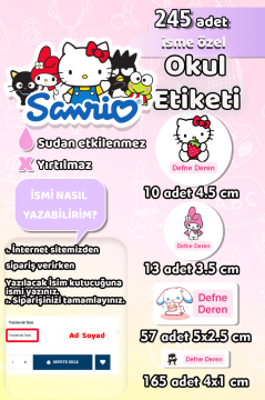 Okul Etiketi Sanrio Temalı Kalem Defter Etiketi Özel İsim Yazılabilen Etiket 245 Adet