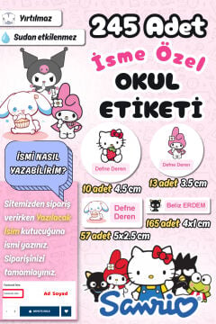 Okul Etiketi Sanrio Temalı Kalem Defter Etiketi Özel İsim Yazılabilen Etiket 245 Adet