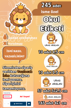 Okul Etiketi Sevimli Aslan Kalem Defter Etiketi 245 Adet İsim Etiketi