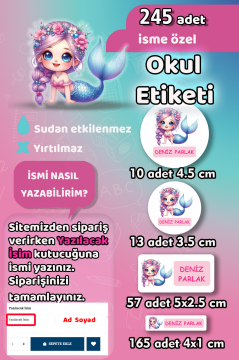 Okul Etiketi Mor Saçlı Deniz Kızı Kalem Defter Etiketi 245 Adet İsim Etiketi