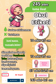 Okul Etiketi Kitap Seven Kızlar Kalem Defter Etiketi 245 Adet İsim Etiketi