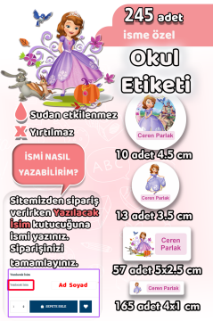 Okul Etiketi Prenses Sofia Kalem Defter Etiketi 245 Adet İsim Etiketi