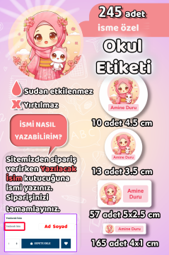 Okul Etiketi Şirin Kız Ve Kedisi Kalem Defter Etiketi 245 Adet İsim Etiketi