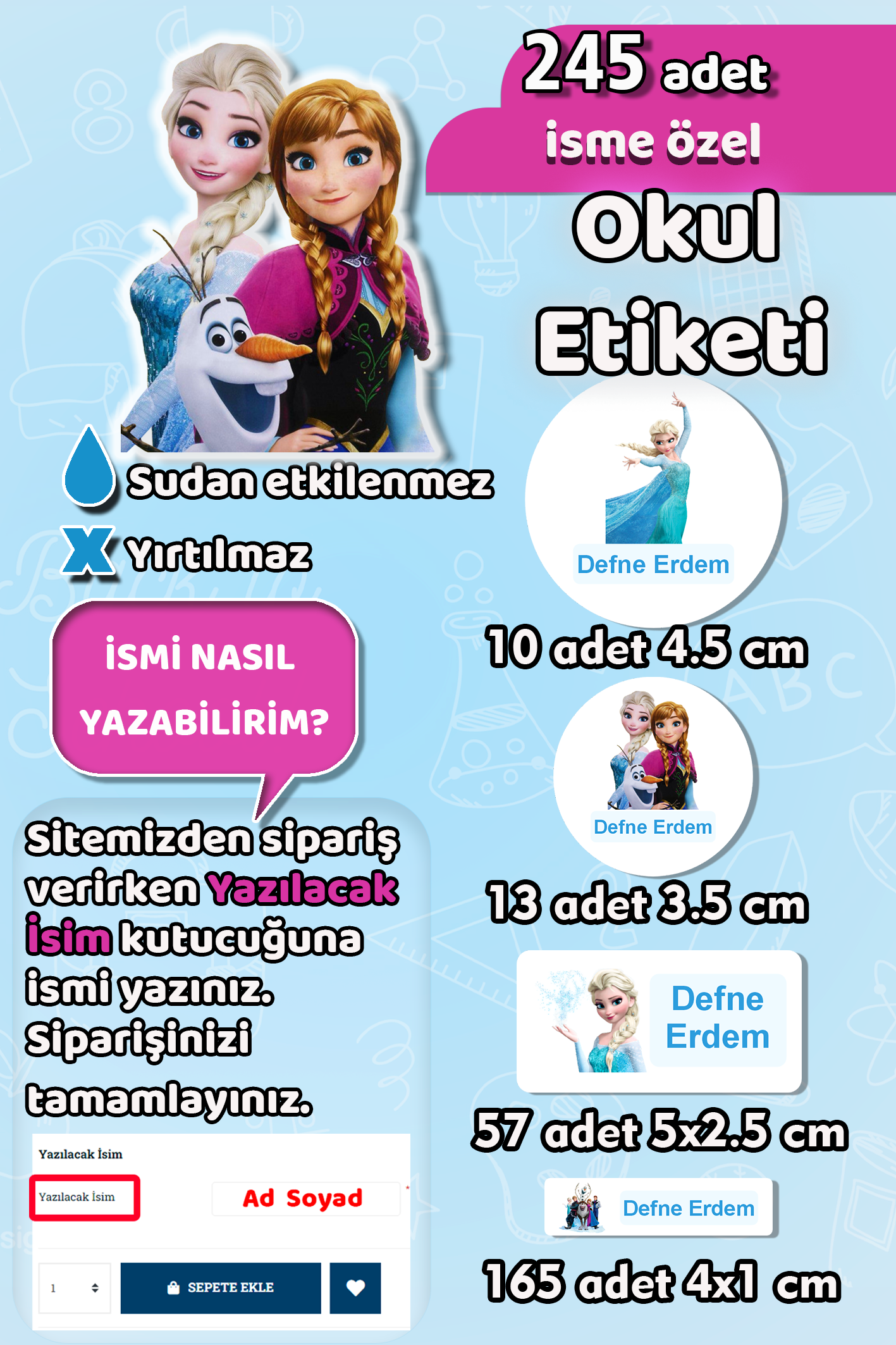 Okul Etiketi Elsa Frozen Temalı Kalem Defter Etiketi Özel İsim Yazılabilen Etiket 245 Adet
