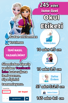 Okul Etiketi Elsa Frozen Temalı Kalem Defter Etiketi Özel İsim Yazılabilen Etiket 245 Adet