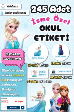 Okul Etiketi Elsa Frozen Temalı Kalem Defter Etiketi Özel İsim Yazılabilen Etiket 245 Adet