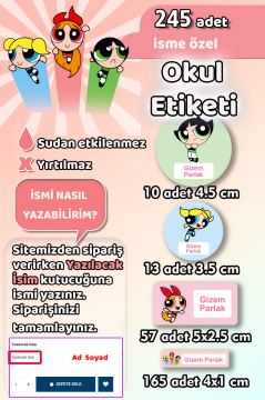 Okul Etiketi Powerpuff Girls Kalem Defter Etiketi Özel İsim Yazılabilen Etiket 245 Adet İsim Etiketi