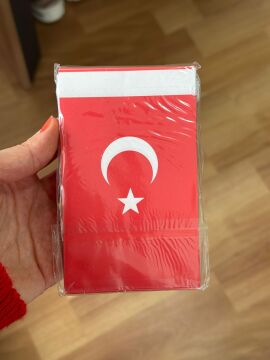 İpli Bayrak Orta Boy 40'lı 8x13 Cm 1 Paket Türk Bayrağı Kağıt İpli Sıralı Ayyıldız Bayrak Sınıf Süsü