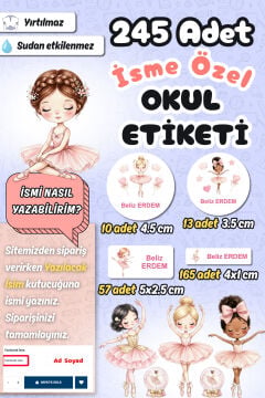 Okul Etiketi Balerinler Temalı Kalem Defter Etiketi Özel İsim Yazılabilen Etiket 245 Adet İsim Etiketi