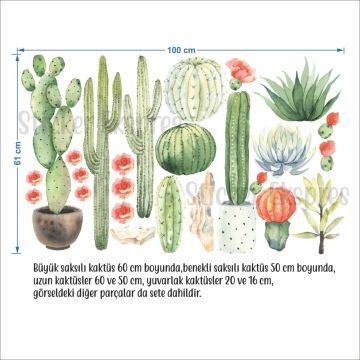 Kaktüs ve Sukulent Sticker Set