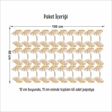 Papatya Yağmuru Duvar Sticker Seti