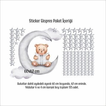Kitap Kurdu Ayıcık Sticker Set