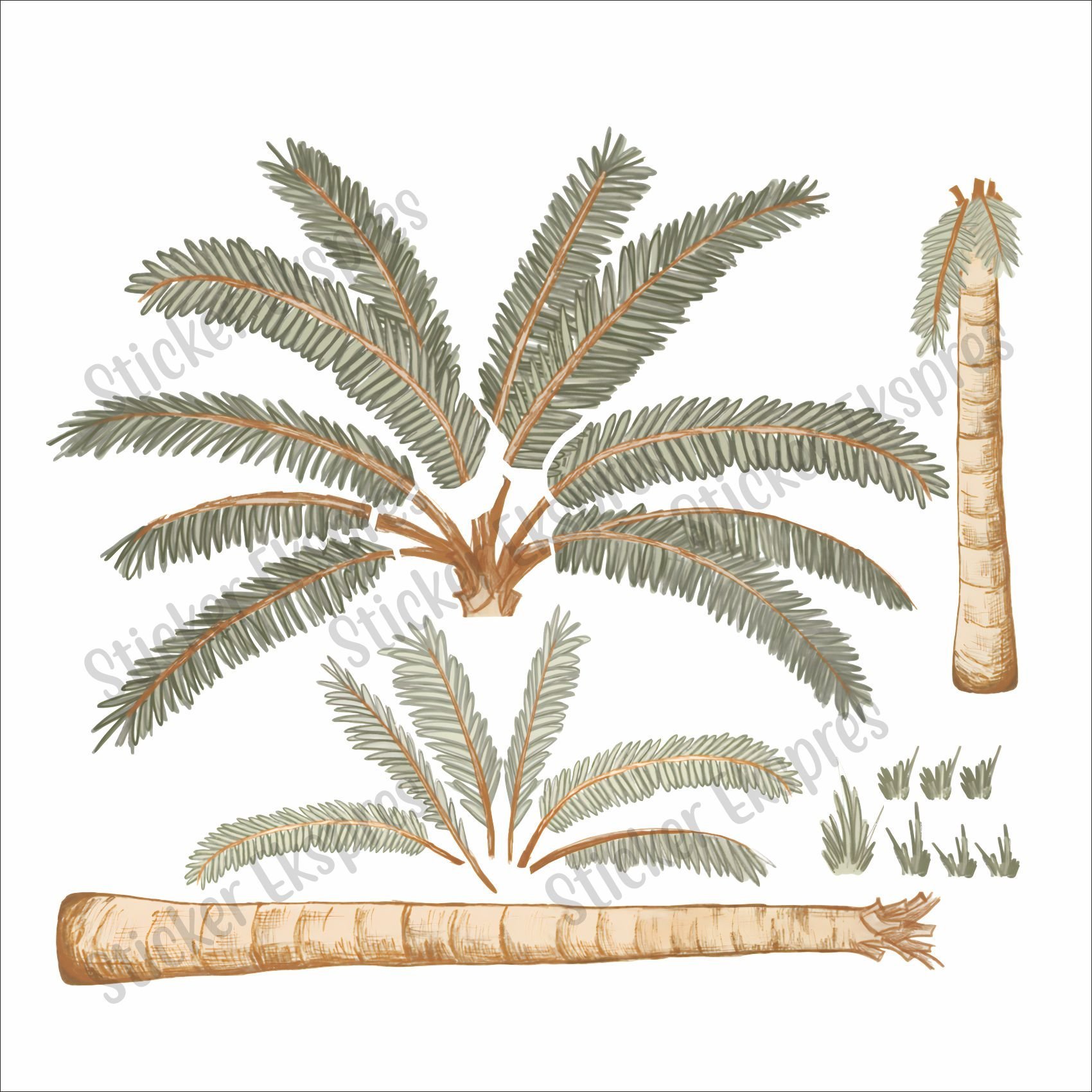Palmiye Ağaçları Sticker Set Orta Boy