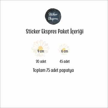 Soft Krem Papatyalar Sticker Seti